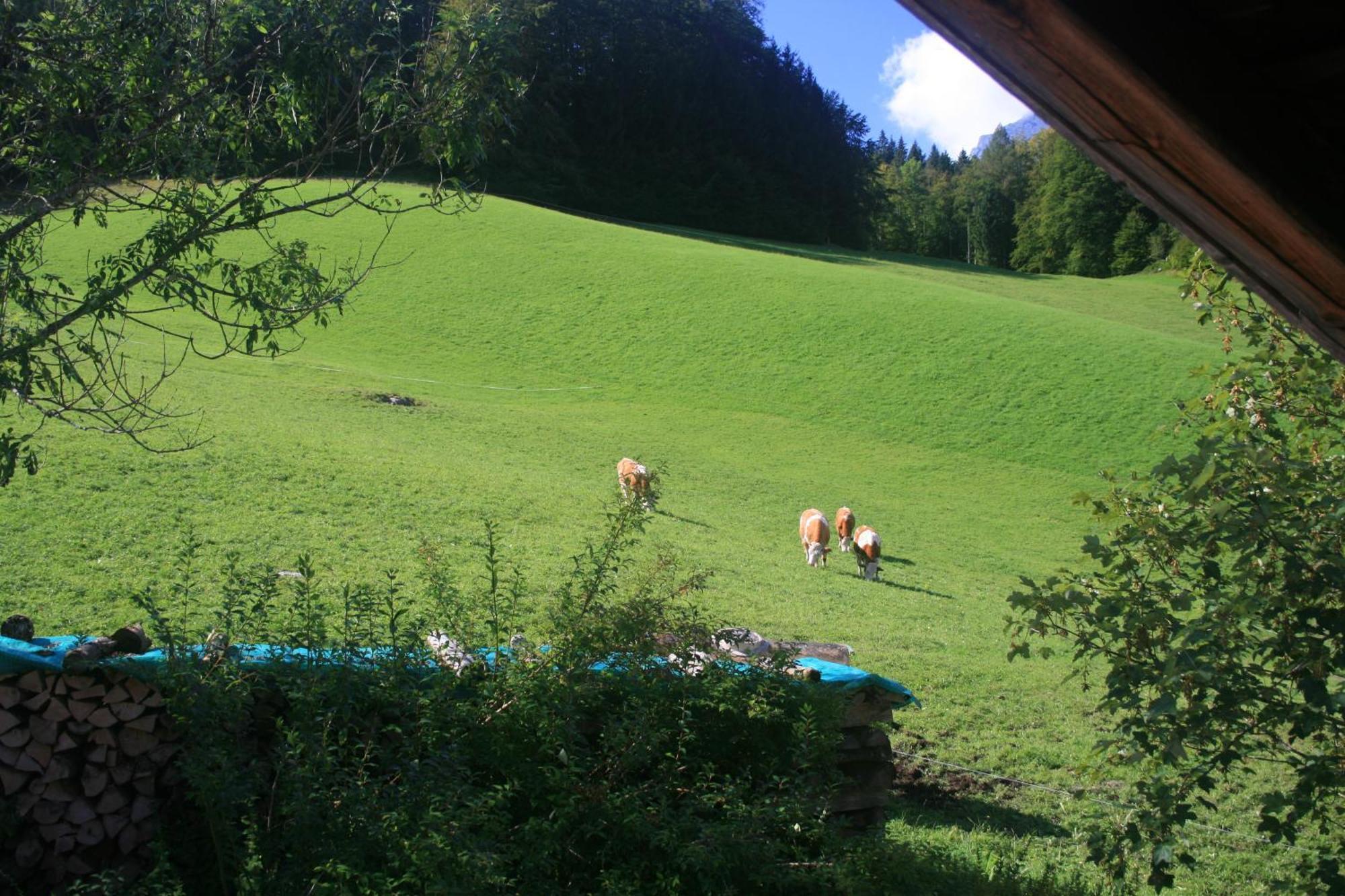 Alpenhotel Beslhof Ramsau bei Berchtesgaden Dış mekan fotoğraf